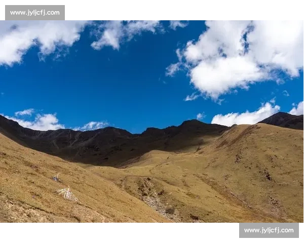 弗吉尼亚 22-20 险胜华盛顿州立：安全分成制胜关键